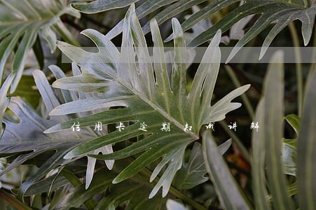 信用卡逾期知识讲解 信用卡逾期知识讲解