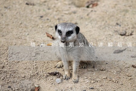 信用卡逾期知识讲解培训
