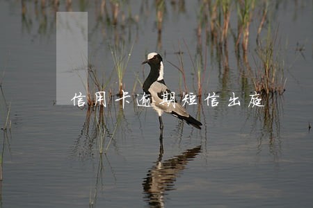 信用卡逾期短信出庭 信用卡逾期短信出庭