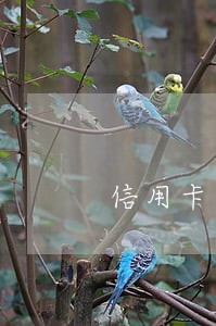 信用卡逾期短信发的逮捕公告 信用卡逾期短信发的逮捕公告