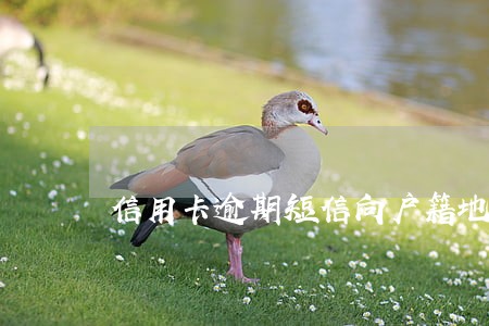 信用卡逾期短信向户籍地申请立案 信用卡逾期短信向户籍地申请立案
