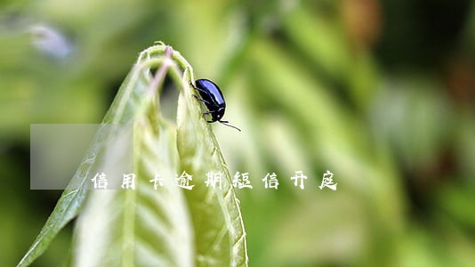 信用卡逾期短信开庭 信用卡逾期短信开庭
