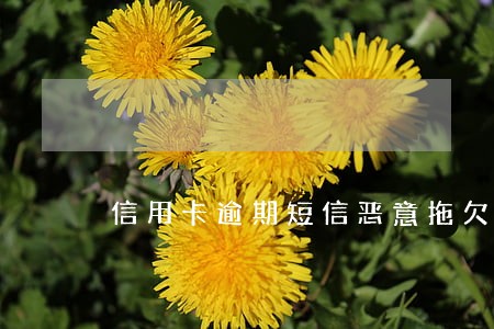 信用卡逾期短信恶意拖欠 信用卡逾期短信恶意拖欠