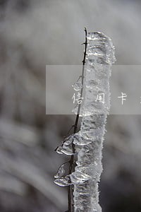 信用卡逾期短信提示财产保全