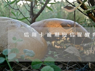 信用卡逾期短信提醒吗 信用卡逾期短信提醒吗