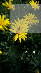 信用卡逾期短信样板 信用卡逾期短信样板