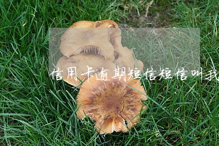 信用卡逾期短信短信叫我出庭