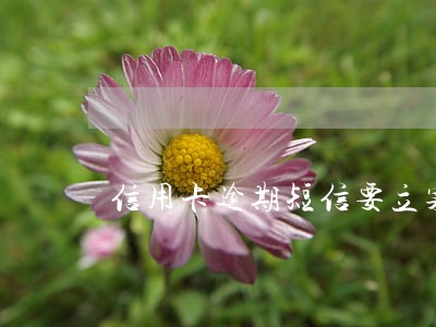 信用卡逾期短信要立案