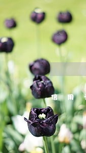 信用卡逾期短信说抓捕