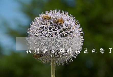 信用卡逾期短信说报警了 信用卡逾期短信说报警了