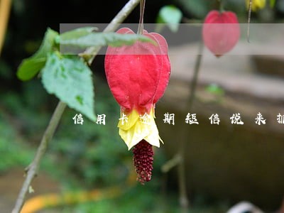 信用卡逾期短信说来抓我