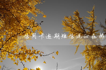 信用卡逾期短信说正在排期 信用卡逾期短信说正在排期