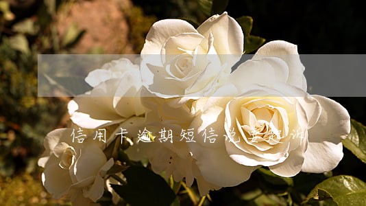 信用卡逾期短信说要起诉 信用卡逾期短信说要起诉
