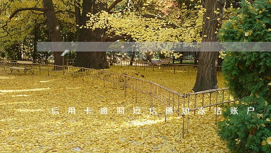 信用卡逾期短信通知冻结账户 信用卡逾期短信通知冻结账户