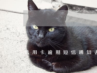 信用卡逾期短信通知去法院 信用卡逾期短信通知去法院