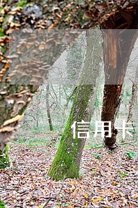 信用卡逾期短信通知实地沟通