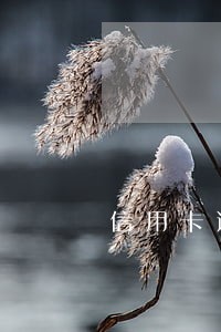 信用卡逾期短信通知开庭未到