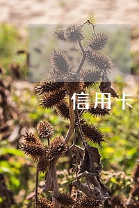 信用卡逾期短信通知我去开庭