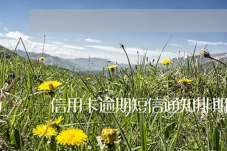 信用卡逾期短信通知排期 信用卡逾期短信通知排期