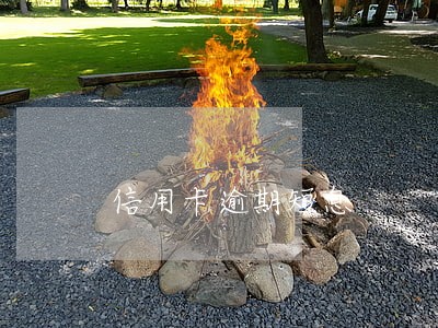 信用卡逾期短息 信用卡逾期短息