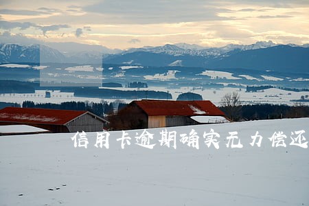 信用卡逾期确实无力偿还结果