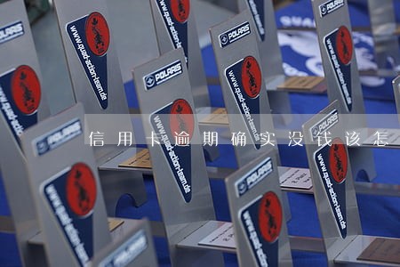 信用卡逾期确实没钱该怎么办 信用卡逾期确实没钱该怎么办