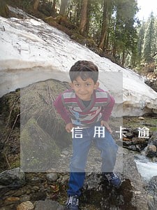 信用卡逾期社保卡冻结怎么解决 信用卡逾期社保卡冻结怎么解决