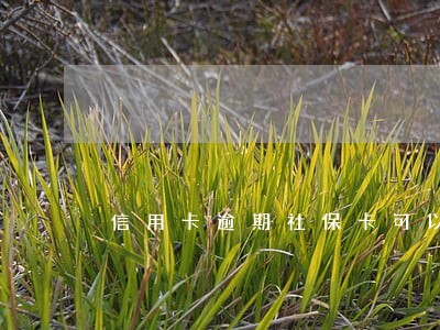 信用卡逾期社保卡可以换吗 信用卡逾期社保卡可以换吗