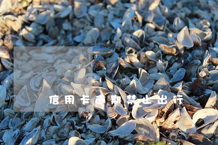 信用卡逾期禁止出行