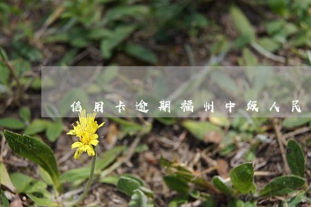 信用卡逾期福州中级人民法院 信用卡逾期福州中级人民法院