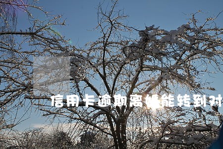 信用卡逾期离婚能转到对方