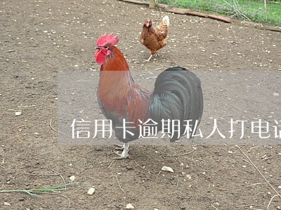 信用卡逾期私人打电话说立案 信用卡逾期私人打电话说立案