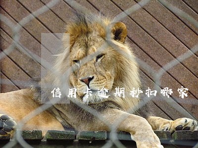 信用卡逾期秒扣哪家