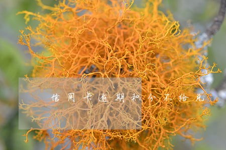 信用卡逾期积分不给兑 信用卡逾期积分不给兑