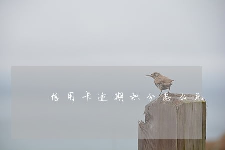 信用卡逾期积分怎么兑 信用卡逾期积分怎么兑