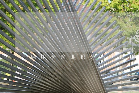 信用卡逾期积分还可以用吗 信用卡逾期积分还可以用吗