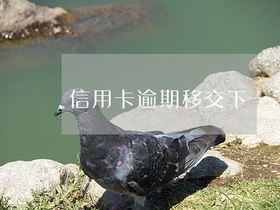 信用卡逾期移交下一部门 信用卡逾期移交下一部门