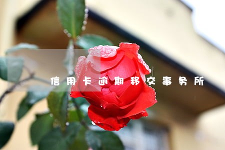 信用卡逾期移交事务所