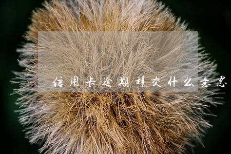信用卡逾期移交什么意思 信用卡逾期移交什么意思