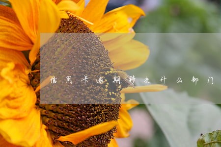 信用卡逾期移交什么部门 信用卡逾期移交什么部门