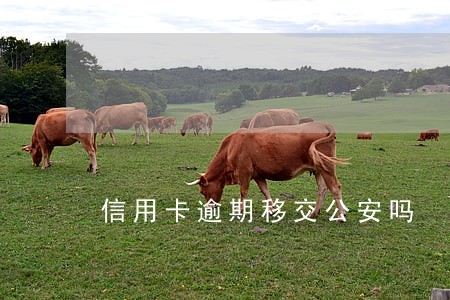 信用卡逾期移交公安吗 信用卡逾期移交公安吗