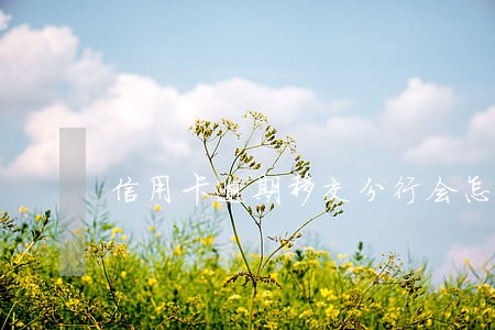 信用卡逾期移交分行会怎样 信用卡逾期移交分行会怎样