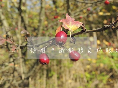 信用卡逾期移交坏账处理的影响 信用卡逾期移交坏账处理的影响