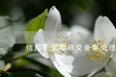 信用卡逾期移交备案处理 信用卡逾期移交备案处理