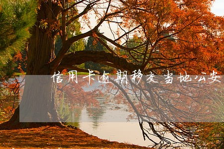 信用卡逾期移交当地公安局 信用卡逾期移交当地公安局