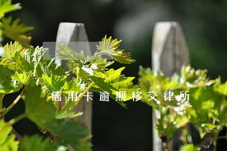 信用卡逾期移交律所 信用卡逾期移交律所