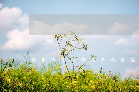 信用卡逾期移交本地会怎么样