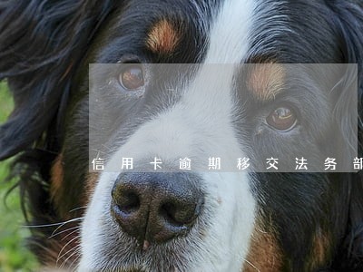 信用卡逾期移交法务部门处理 信用卡逾期移交法务部门处理