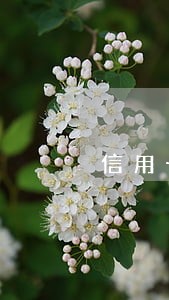 信用卡逾期移当地 信用卡逾期移当地