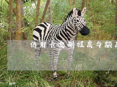信用卡逾期程度与额度 信用卡逾期程度与额度